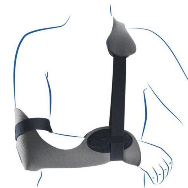 Scapulis